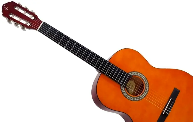 Violão Giannini Estudo Nylon N-14 N